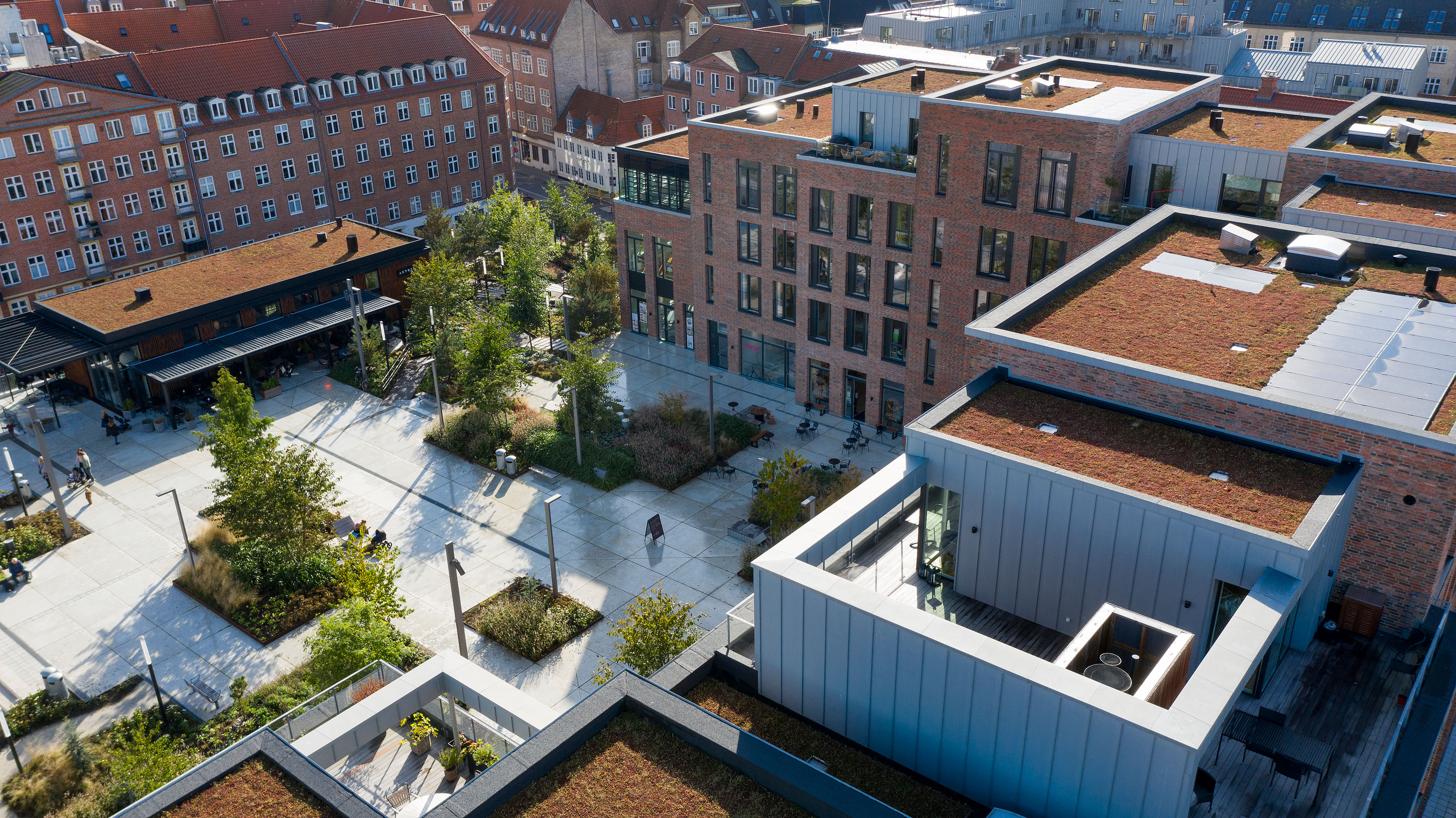 Budolfi 01 Jonas Fotografi 3000