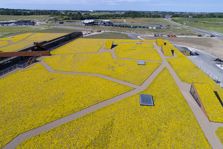 Solrodgard Tagpap Og Gront Tag 8