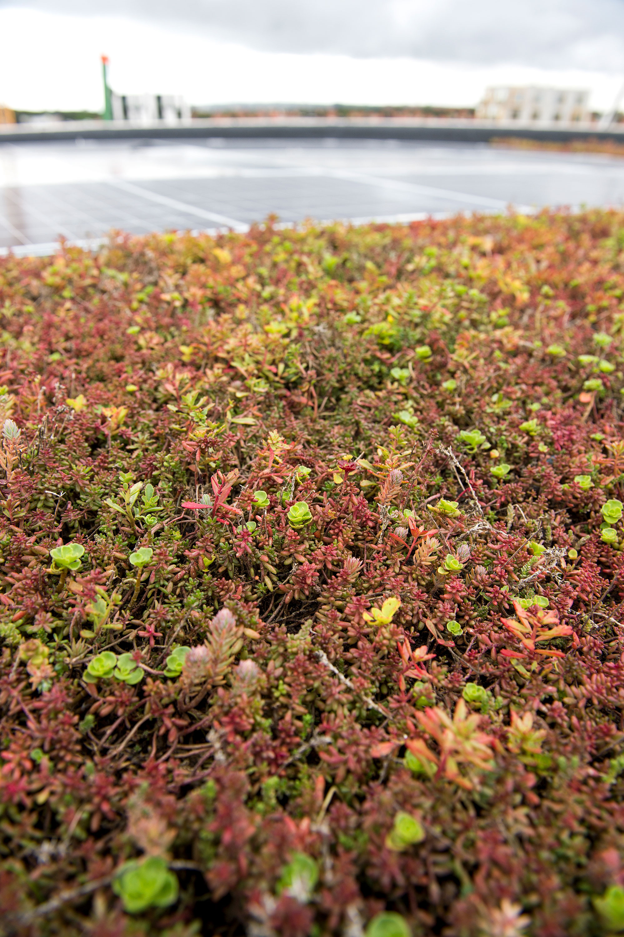 Risskovbrynet J 23 3000