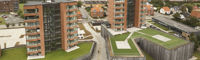 NW Vaerkergrunden Sep23 019 1200X600px