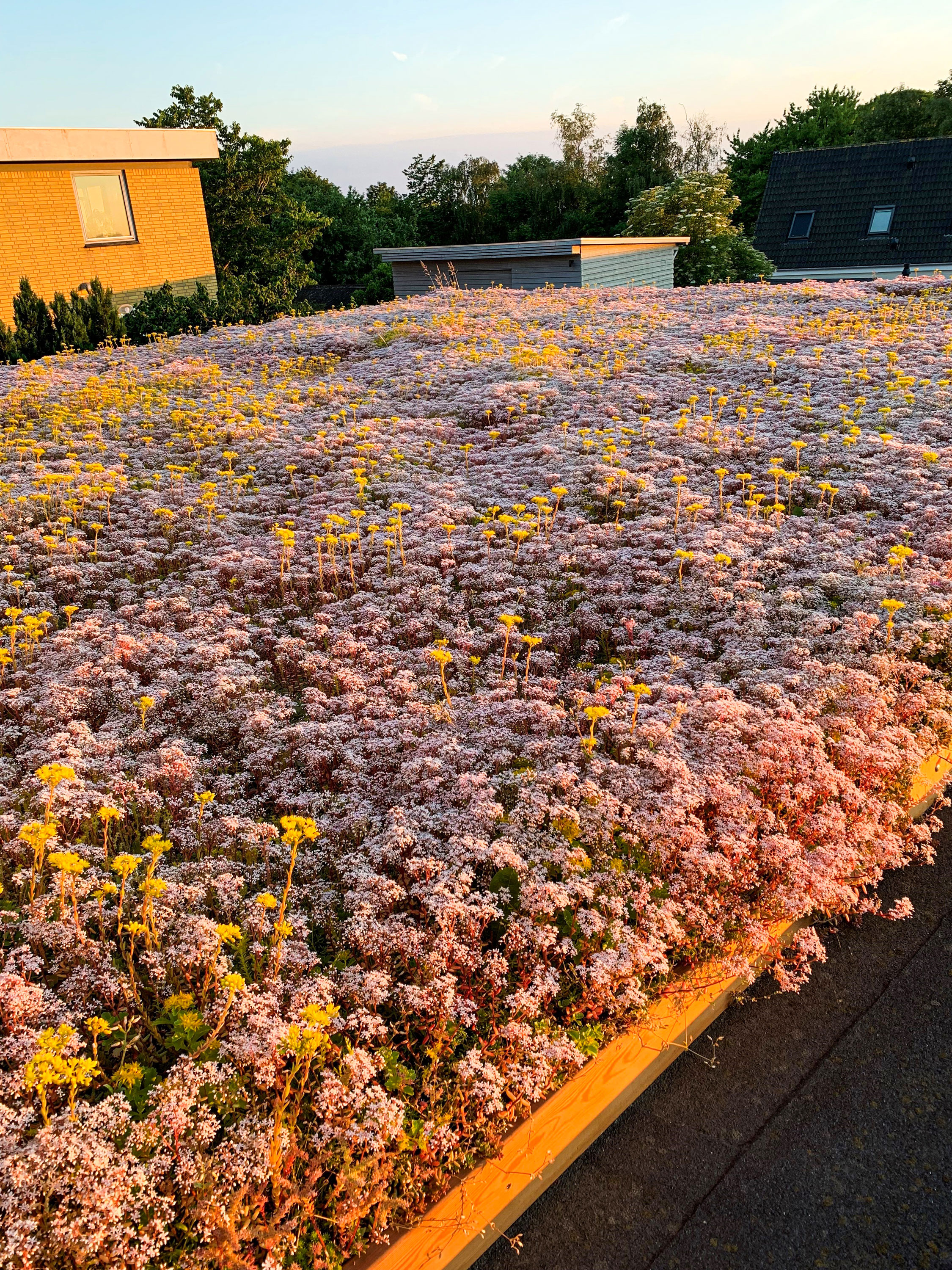 Blomstrende Gront Tag