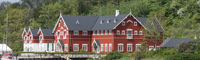 Dyvig 6